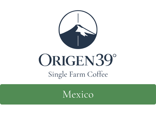 Mexico Puente Nuevo