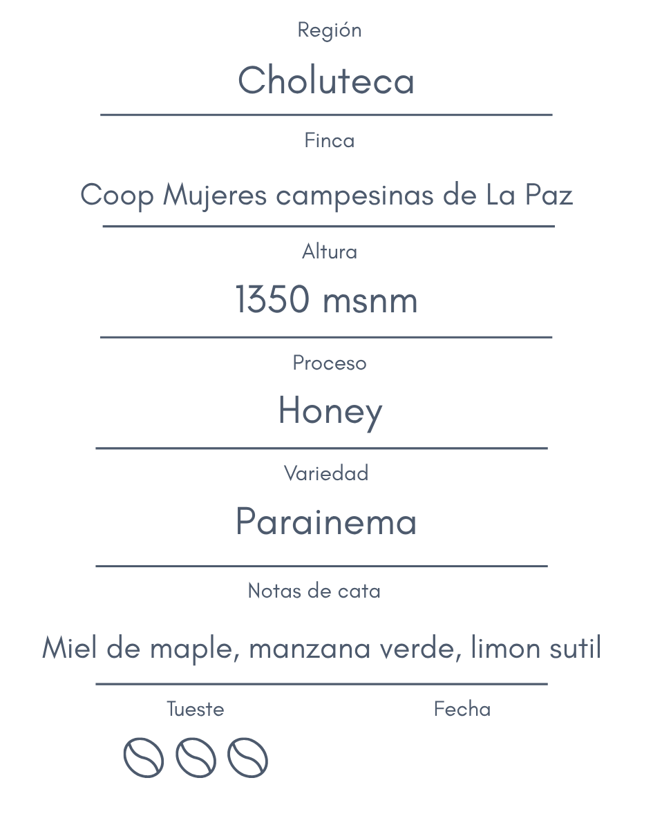 Honduras Comucap Honey
